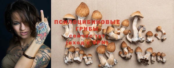 кокаин премиум Дмитриев